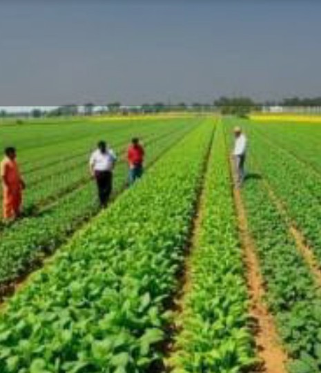 ಕೃಷಿ ಇಲಾಖೆ ನೇಮಕಾತಿ 2026: 8 ವರ್ಷಗಳ ಬಳಿಕ ಬಂಪರ್ ಅವಕಾಶ! ಅರ್ಹತೆ, ಸಂಬಳ, ವಯೋಮಿತಿ ಸಂಪೂರ್ಣ ಮಾಹಿತಿ